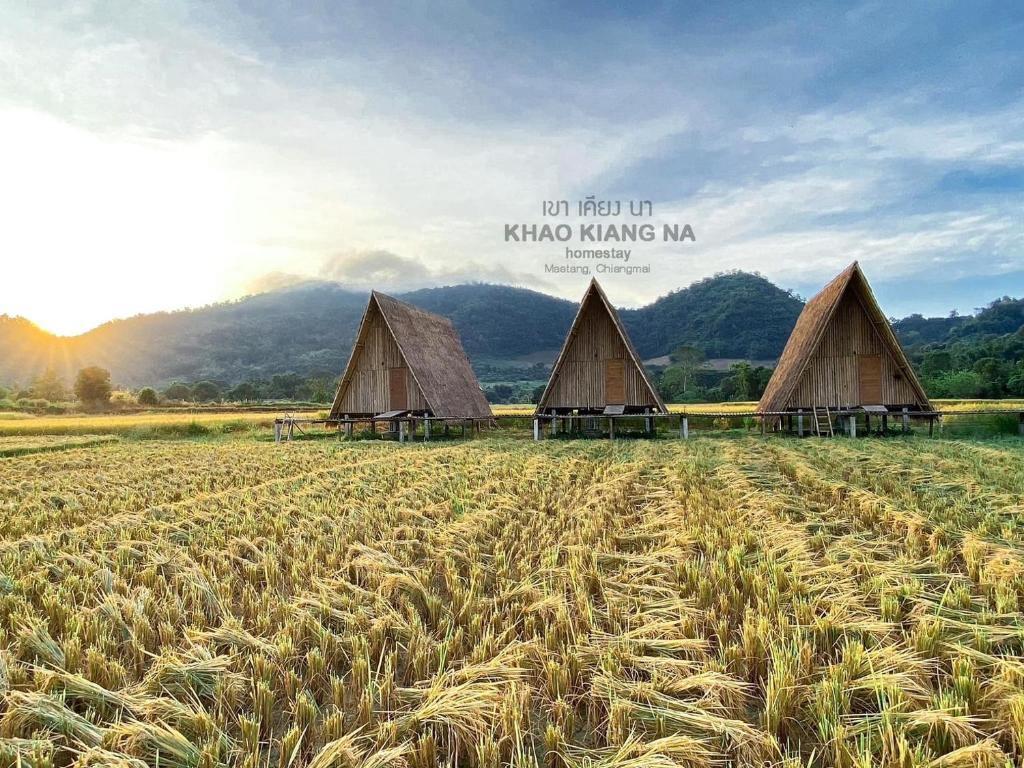 Khao Kiang Na เขา เคียง นา - 18