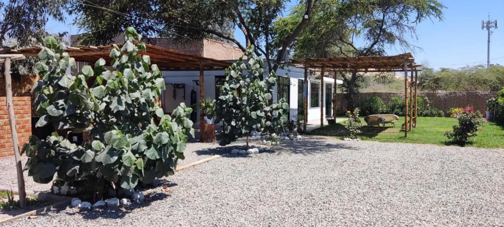un jardín con dos árboles y un edificio en Casa rústica, en Ica