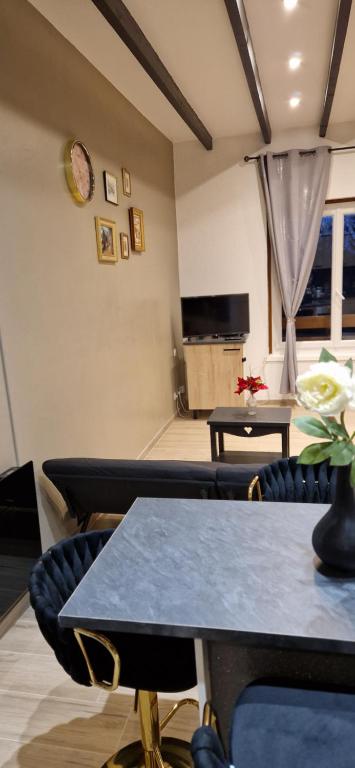 a room with tables and chairs and a tv at Chic & Design Studio for 3 people in Thonon-les-Bains