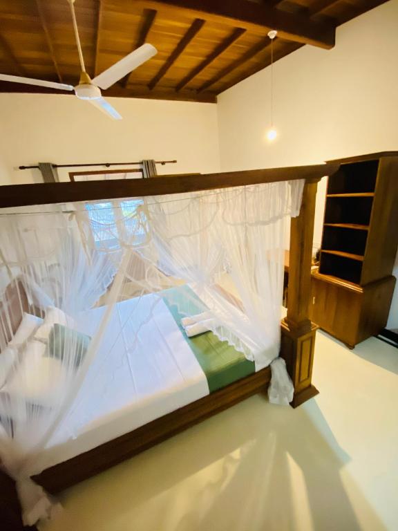 Lavender mirissa - 10