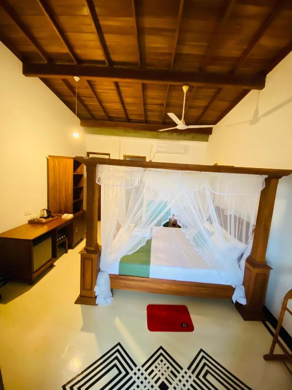 Lavender mirissa - 9