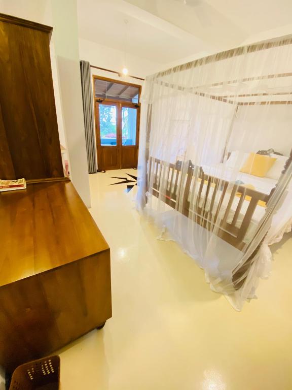 Lavender mirissa - 12