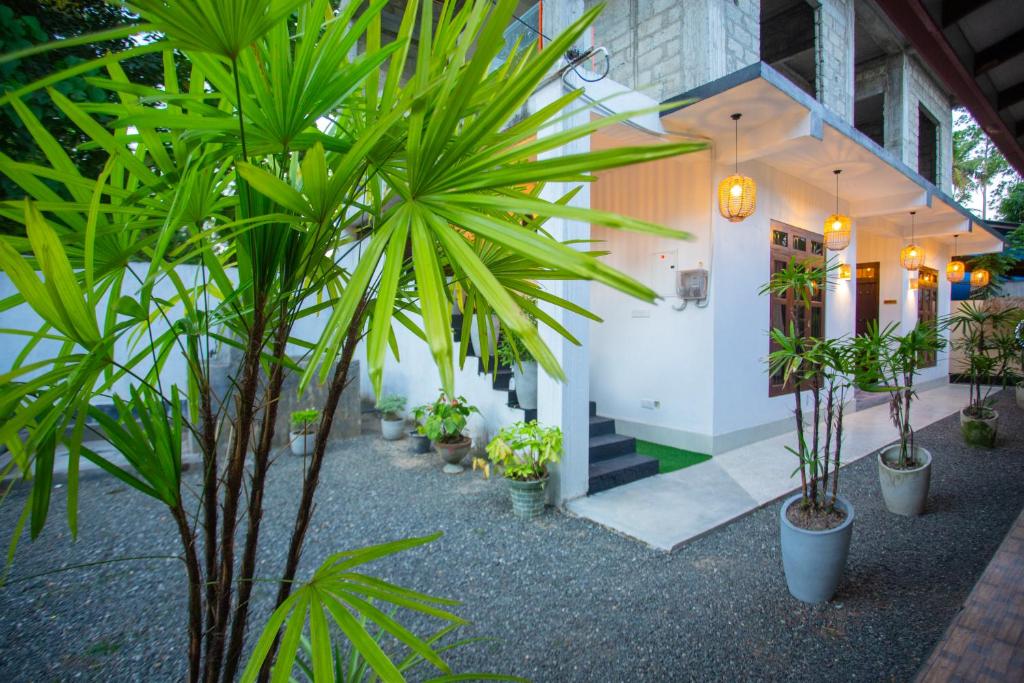 a group of plants in a courtyard with a building at The Mud Crab 80 in Ahangama