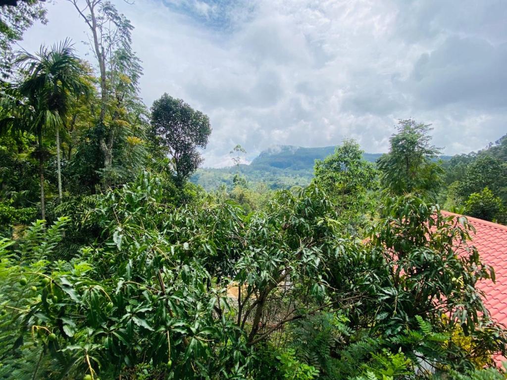 Blick auf einen Wald mit Bäumen und einem Dach in der Unterkunft Nice View guest house & restaurant in Ella