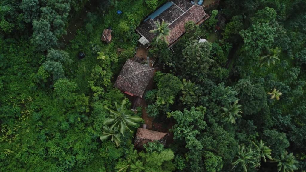 Fotografie z fotogalerie ubytování Srothas Ayurveda Panchakarma Health Care v destinaci Thodupuzha