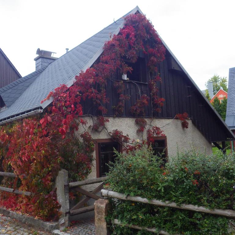 a house with red ivy on the side of it at Ferienhaus Frieda in Kurort Altenberg