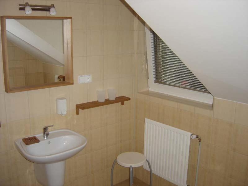 Koupelna v ubytování Apartments Ve Dvoře
