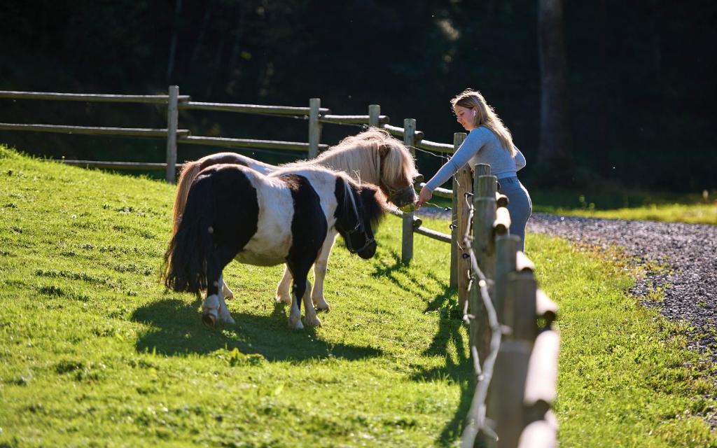 Blumbauernhof photo