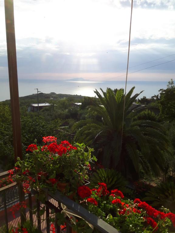 un balcone con fiori rossi e vista sull'oceano di La Casa del Sole a Vico Equense