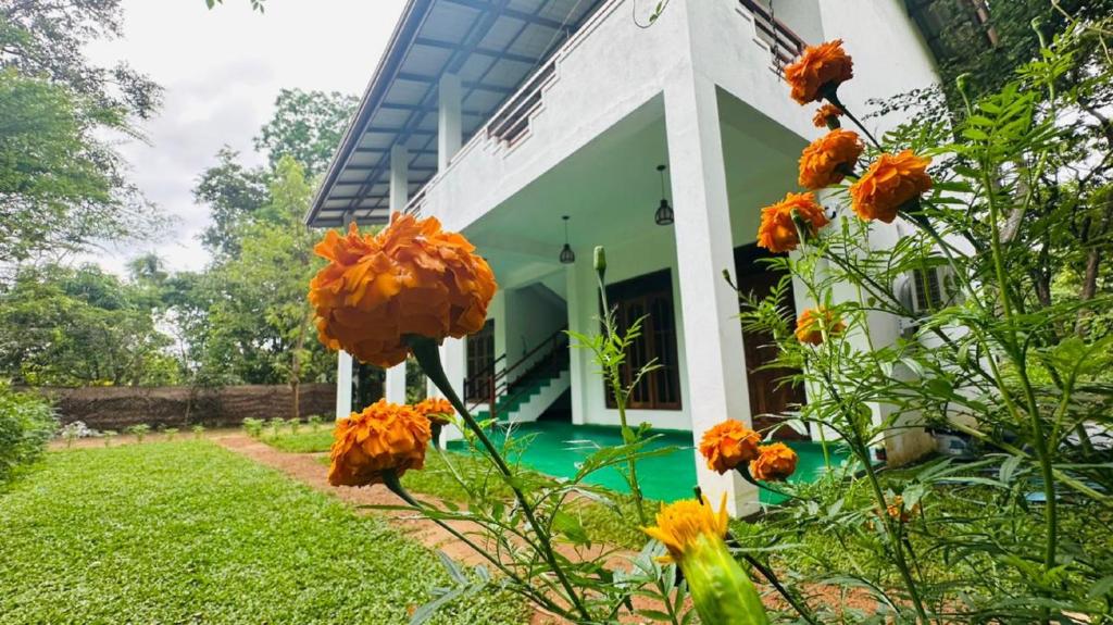 a house with orange flowers in front of it at The Secret Garden Sigiriya in Sigiriya