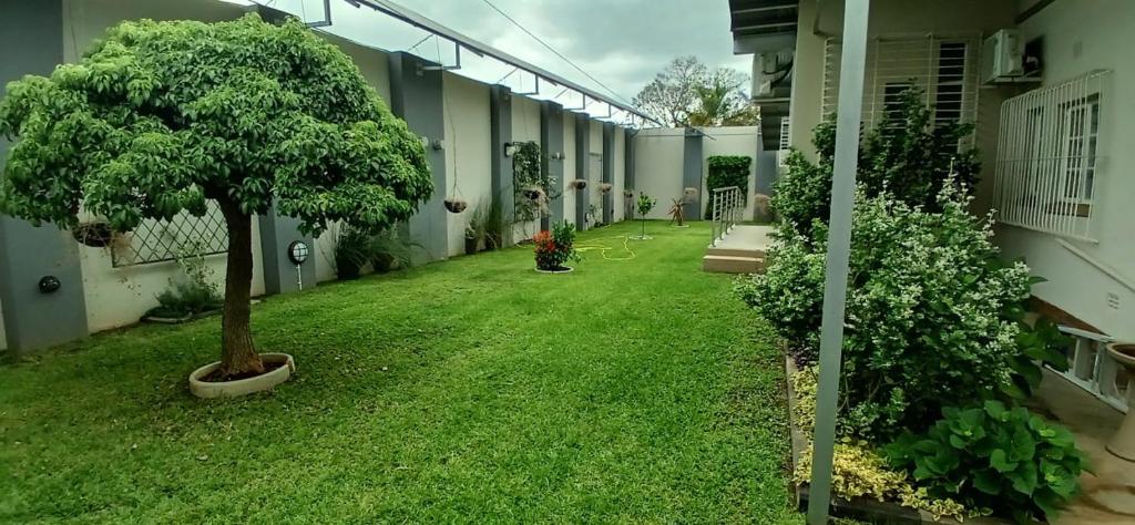 Сад в 153A Marshall