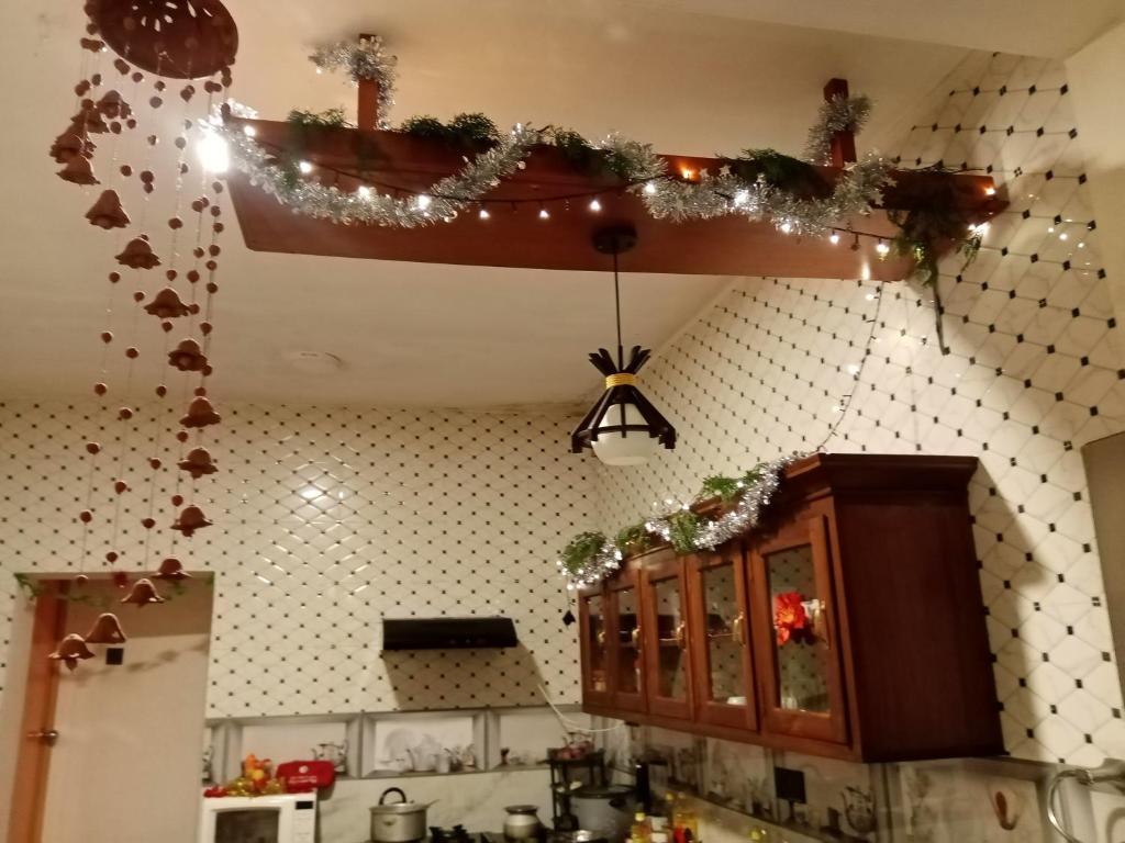 Η κουζίνα ή μικρή κουζίνα στο Kandy Apartment Oak