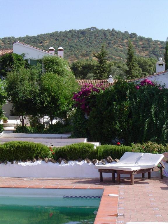 Príroda v okolí of the country house