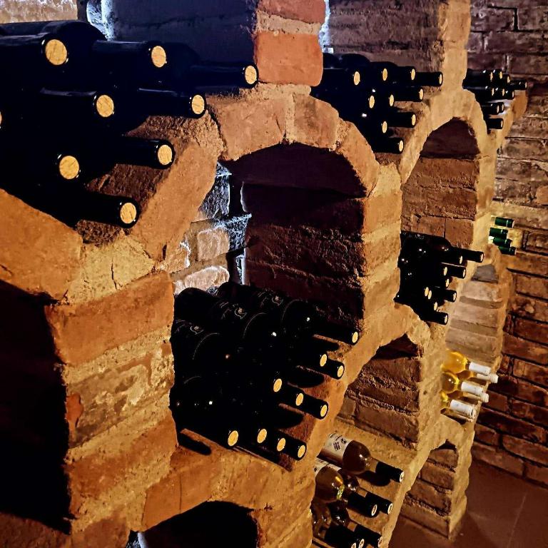 a stack of wine bottles in a brick fireplace at Apartmán u Révy in Bořetice