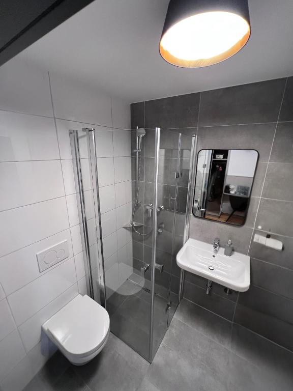 une salle de bains avec douche, toilettes et lavabo dans l'établissement Gästehaus Falken, à Hechingen