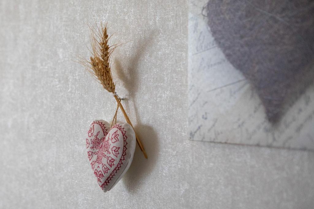 Studio familial de charme 3 Epis Belvédère – photo 23