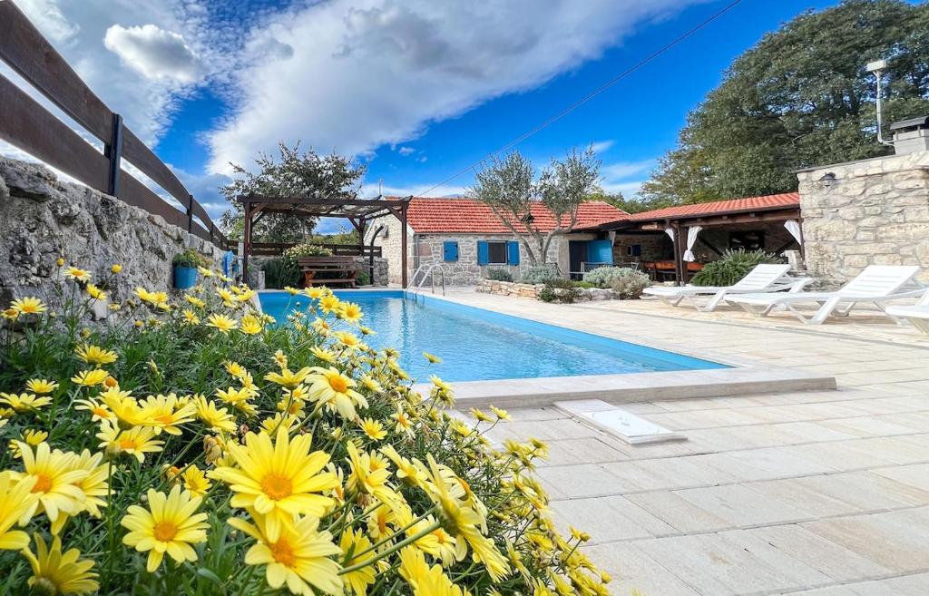 克鲁塞沃Didini dvori的一座别墅,设有游泳池和黄色的鲜花