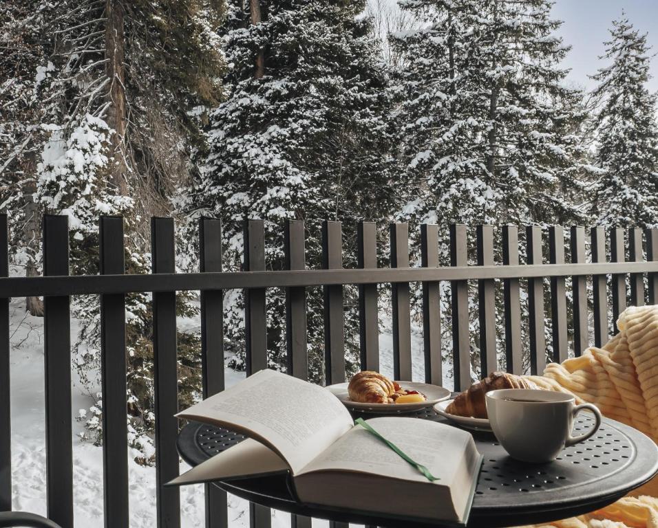 Dialog Kokhta v zimě