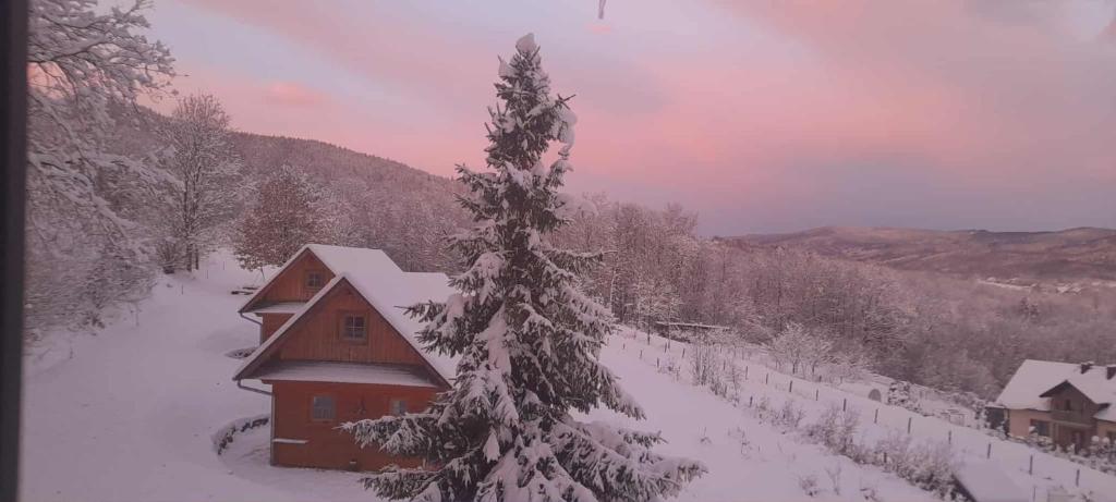 a house covered in snow next to a tree at Domki Pod Dębem in Błądzonka