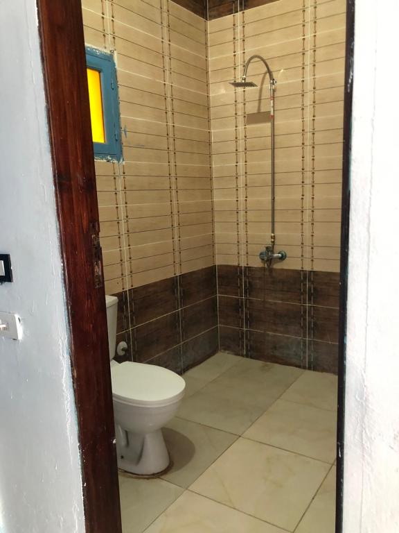 a bathroom with a toilet and a shower at Palm Valley camp in Nuweiba‘ el Muzeinah