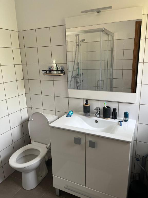 un bagno con un water, un lavandino e uno specchio di Charmante petite maison provençale a Grasse