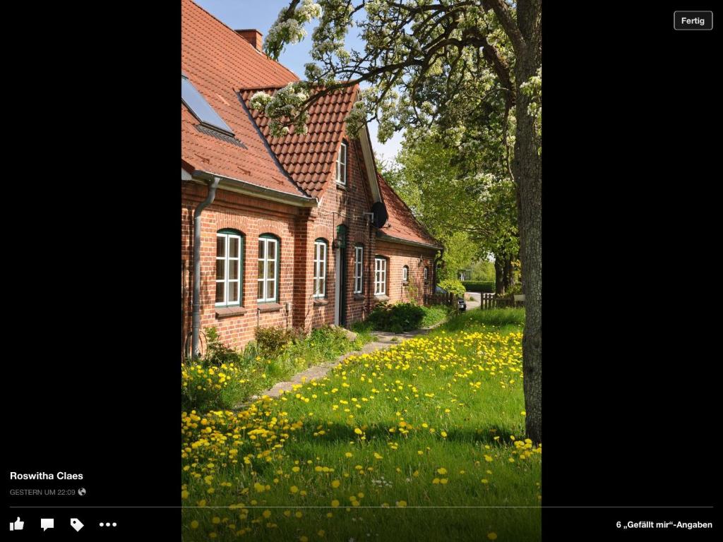 una casa con un campo de flores delante de ella en Landhaus Hohenfelde en Hohenfelde