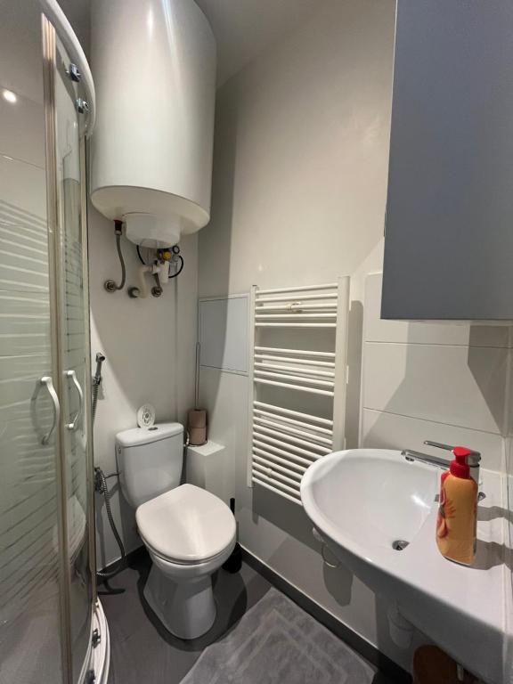 Le 12 - Joli F2 neuf, Mulhouse centre - stationnement gratuit – photo 21