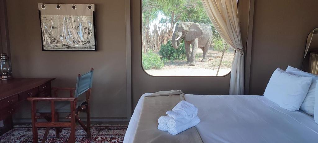 Φωτογραφία από το άλμπουμ του Elephant Crossing Safari Bushcamp σε Chiawa