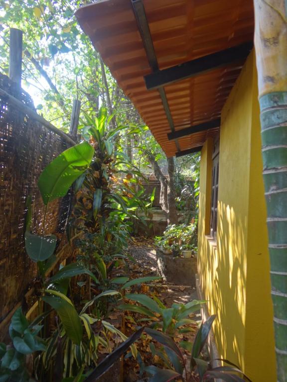 Zahrada ubytování Vatika House