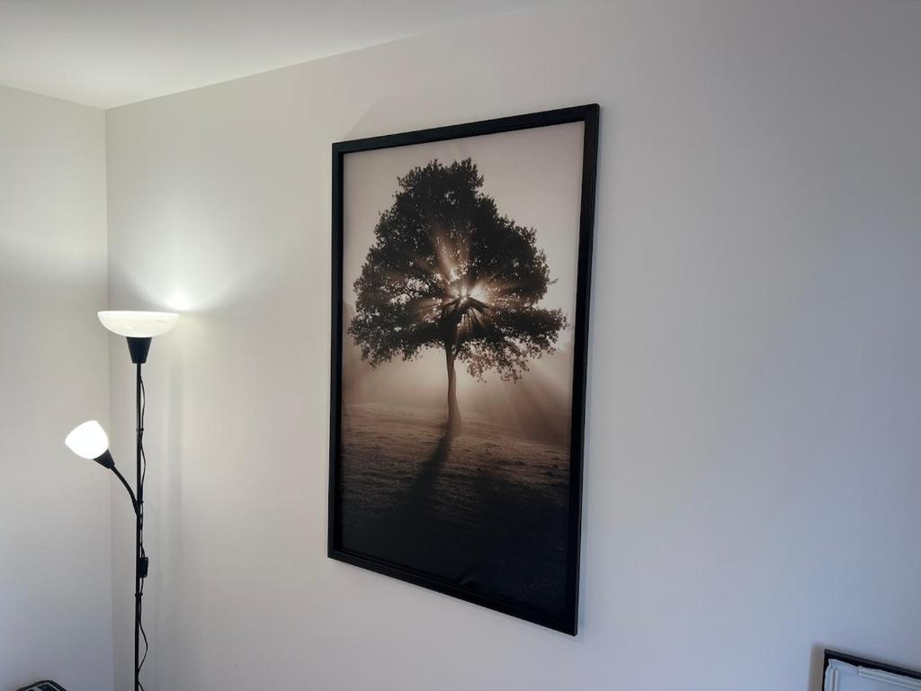 Very nice apartment Huningue - close to Basel – photo 11