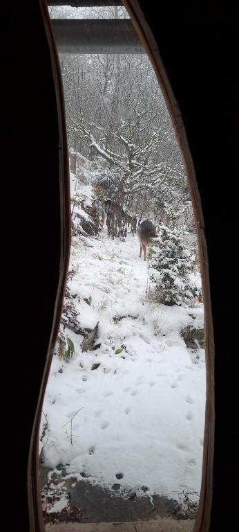 Το Radja Hobit Penzion τον χειμώνα