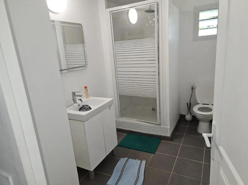 サンタンヌにあるAppartement spacieux avec vue sur mer à Sainte-Anneの洗面台、シャワー、トイレ付きのバスルーム