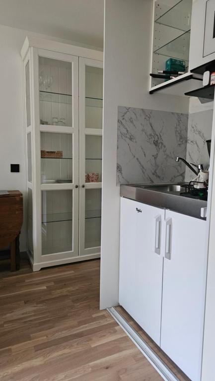 Kuchyň nebo kuchyňský kout v ubytování Studio Borgen