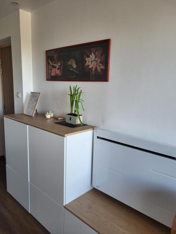 Φωτογραφία από το άλμπουμ του Beautiful Studio at Geneva airport Ferney Voltaire στο Ferney-Voltaire