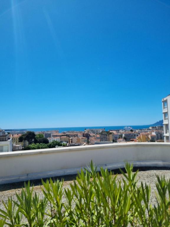 戛纳Palais Selvosa的从建筑物屋顶俯瞰城市