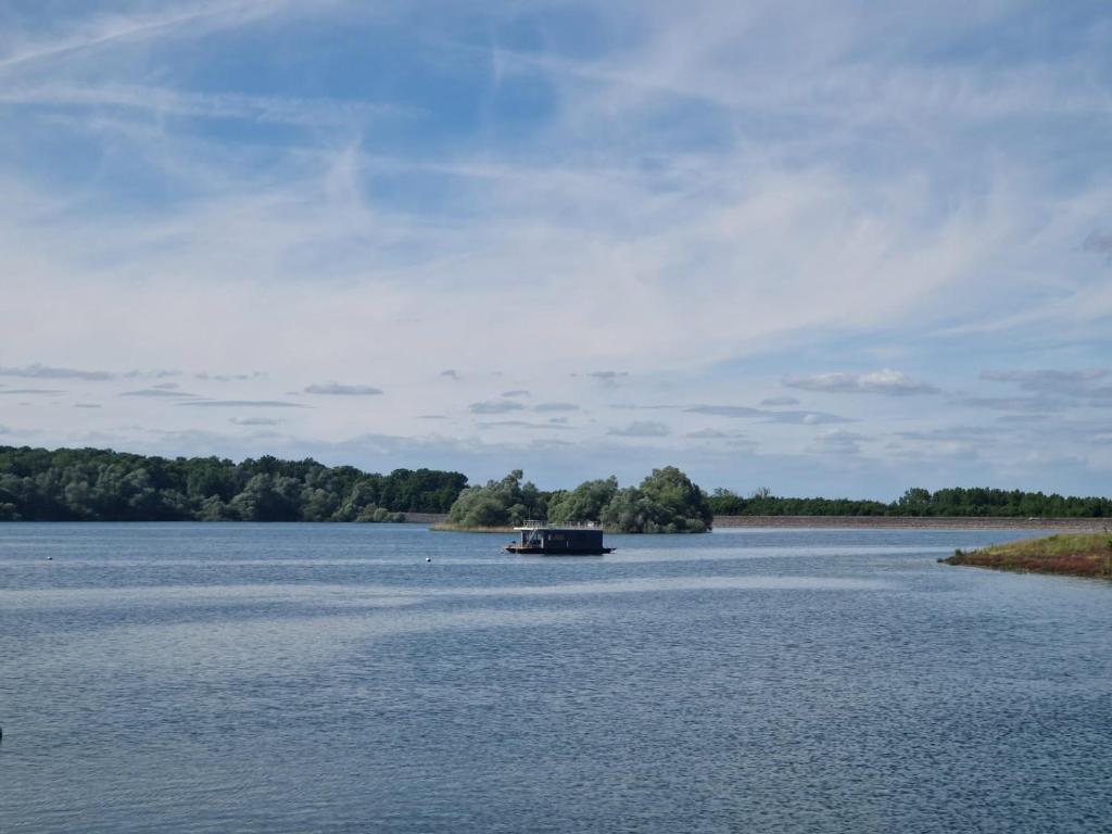 un bateau au milieu d'un grand lac dans l'établissement Bateau Lac du Der - Chantecoq - Navigation, 