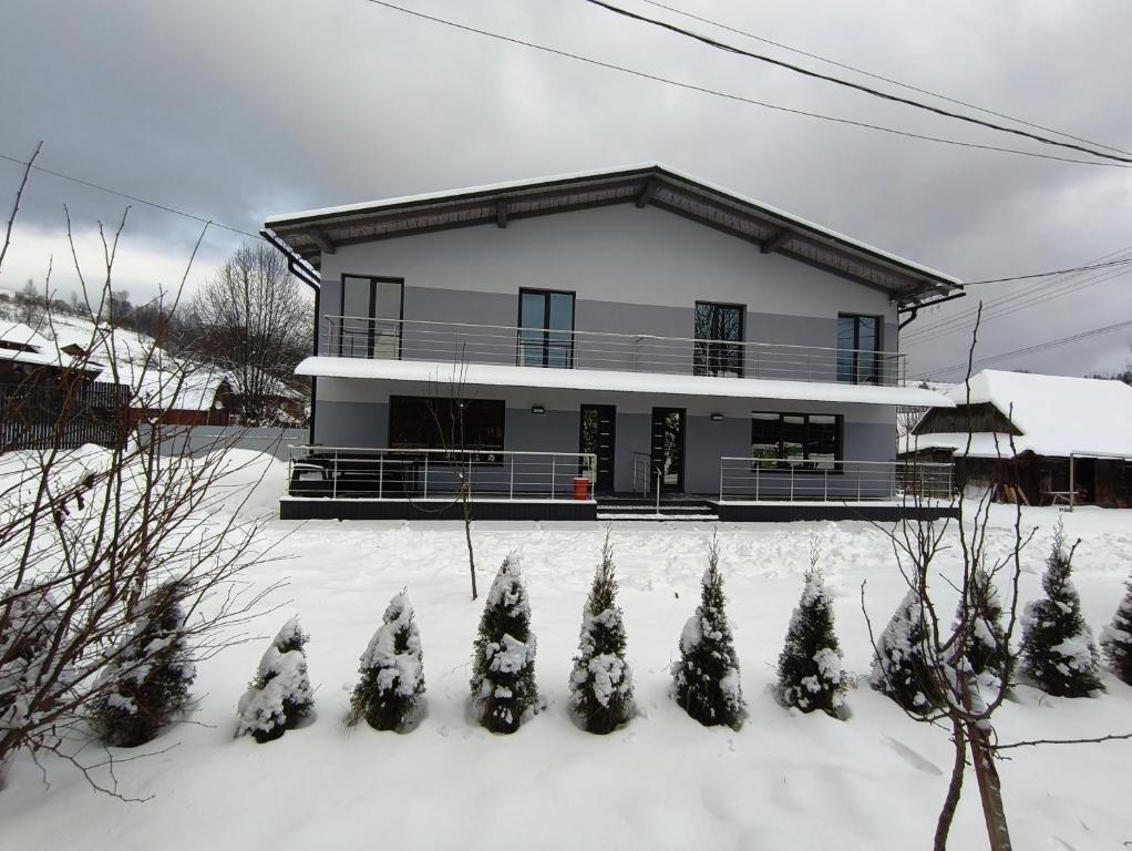 Котедж у Русина في Pilipets: منزل في الثلج مع اشجار عيد الميلاد