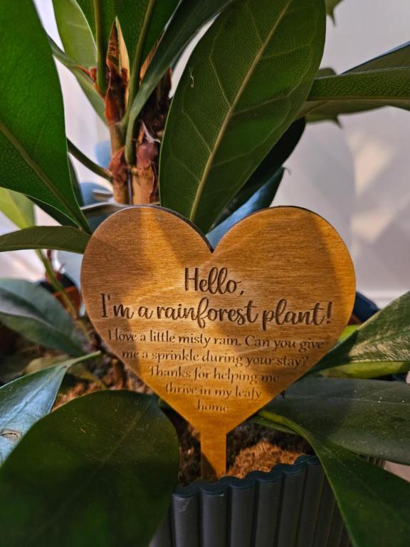 Salt & Sage, Whitby - NEW 7