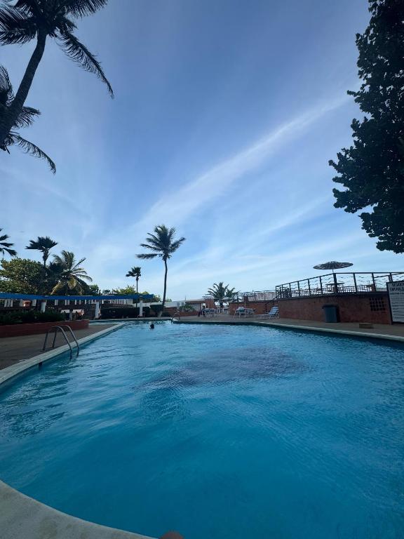 una gran piscina azul con palmeras en el fondo en Conjunto Residencial Emerald Suites, en Tucacas
