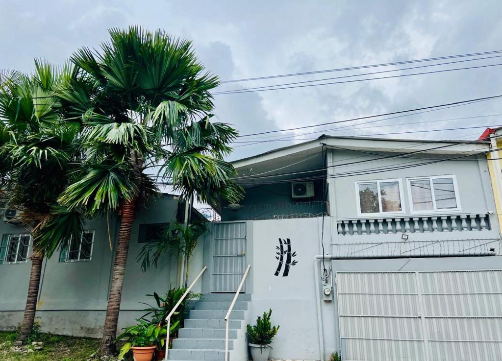 a white house with a palm tree in front of it at bamboo bed and breakfast in San Pedro Sula