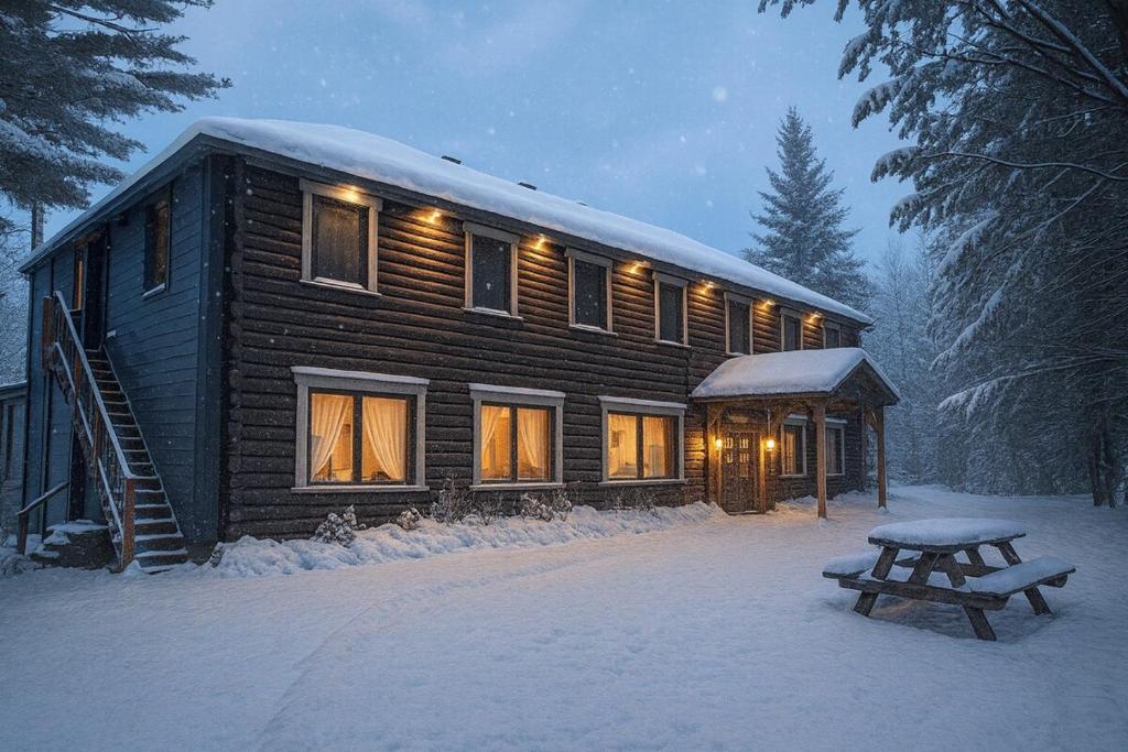 Sainte-Lucie-de-DoncasterL'Harmonie #203 - Cozy loft with boats的小木屋,配有雪地长椅