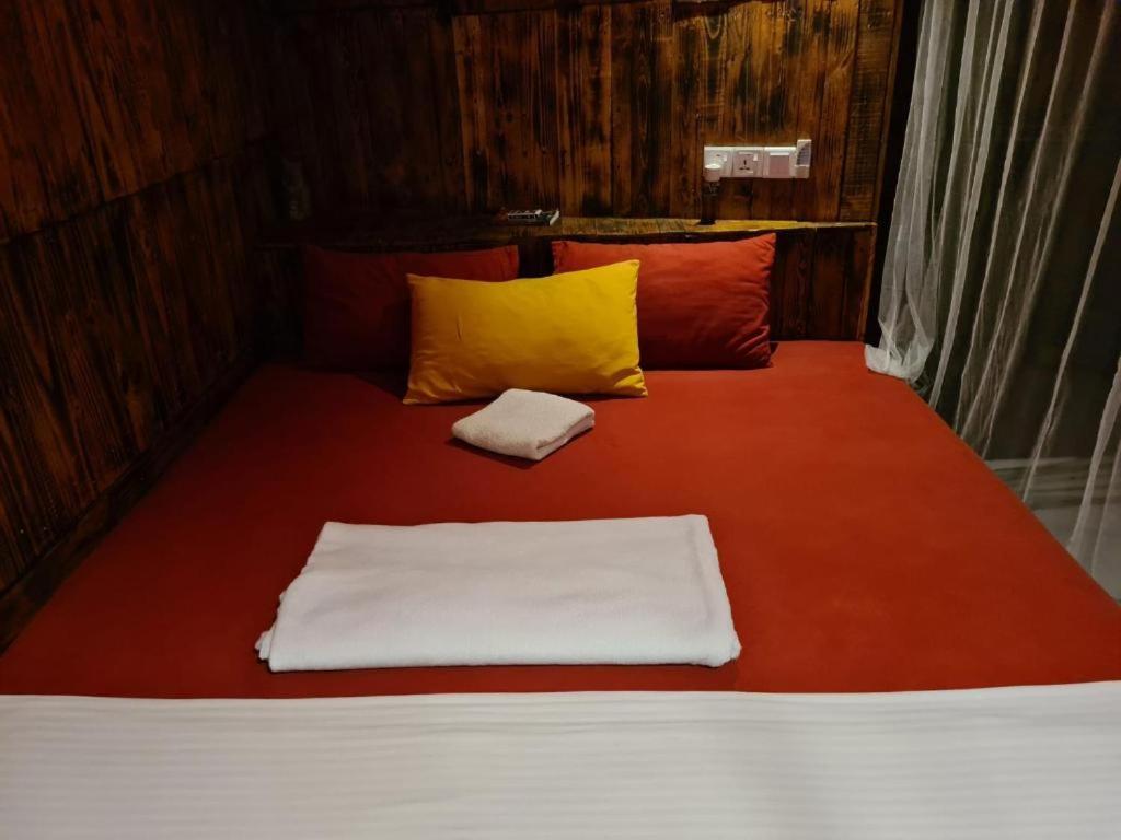 La pinchi " Pinchi's Bed " - 1