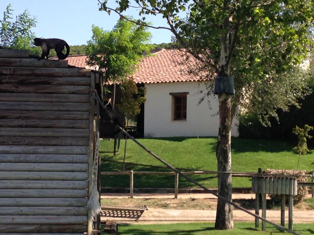 Zahrada ubytování Apartamento Turistico Cigüeña de Arguedas