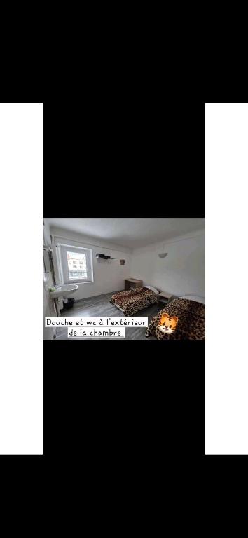 Hotel de la Gare - Double Or Twin Room With Shared Bathroom