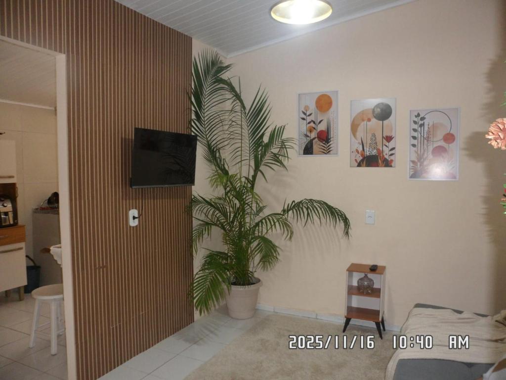 a living room with a potted plant on the wall at Pe no Centro in Porto Seguro