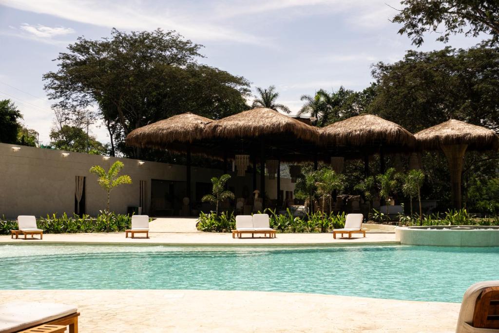 Πισίνα στο ή κοντά στο Holistic EcoHotel