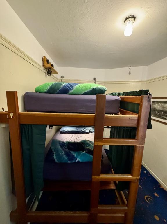 Green Tortoise Hostel photo