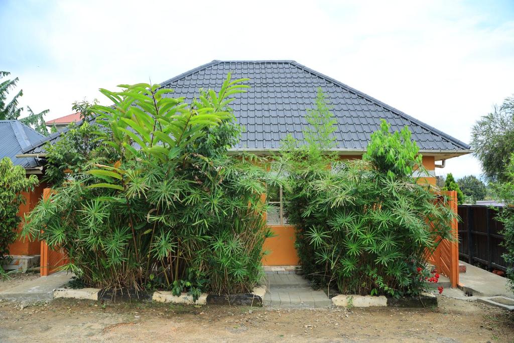 Zahrada ubytování Little Flowers Motel