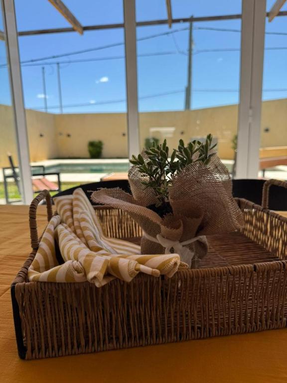 a basket with towels and plants on a table at Esmeralda in San Benito