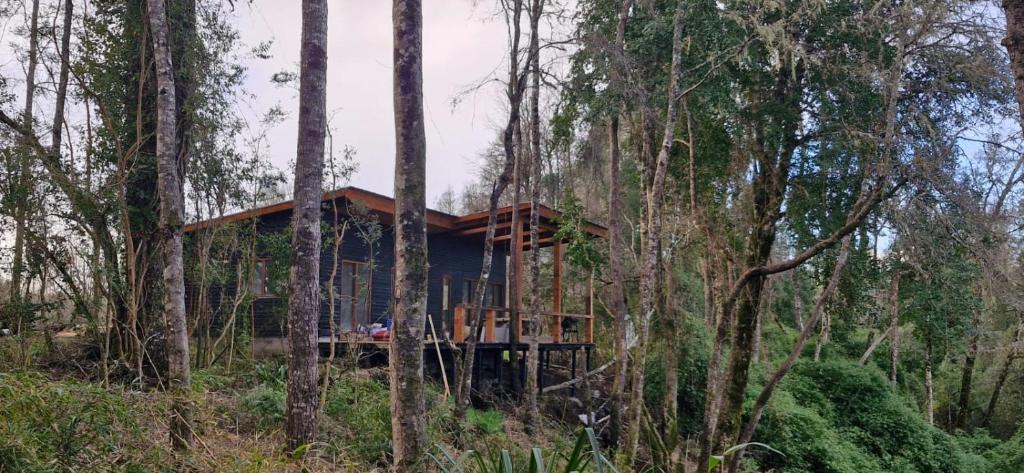 Naturlandschaft in der Nähe des Ferienhauses